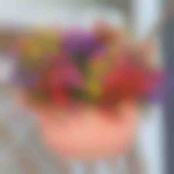 Visžalė žaluma (6 vnt./rinkinys) | ARTIFLOWERS